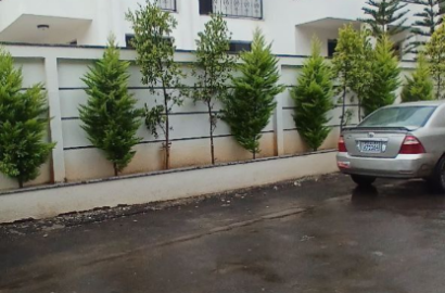 Luxurious Modern G+2 Home for Sale in Ayat – Spacious & Elegant