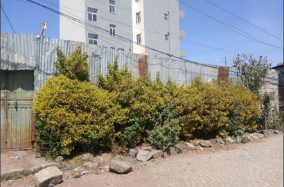 🏡 Prime Land for Sale in Lafto – Ideal for Living or Investment!